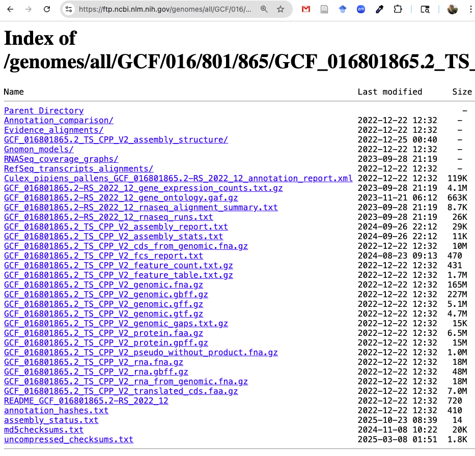 A browser screenshot of the NCBI FTP dir for the Culex pipiens genome